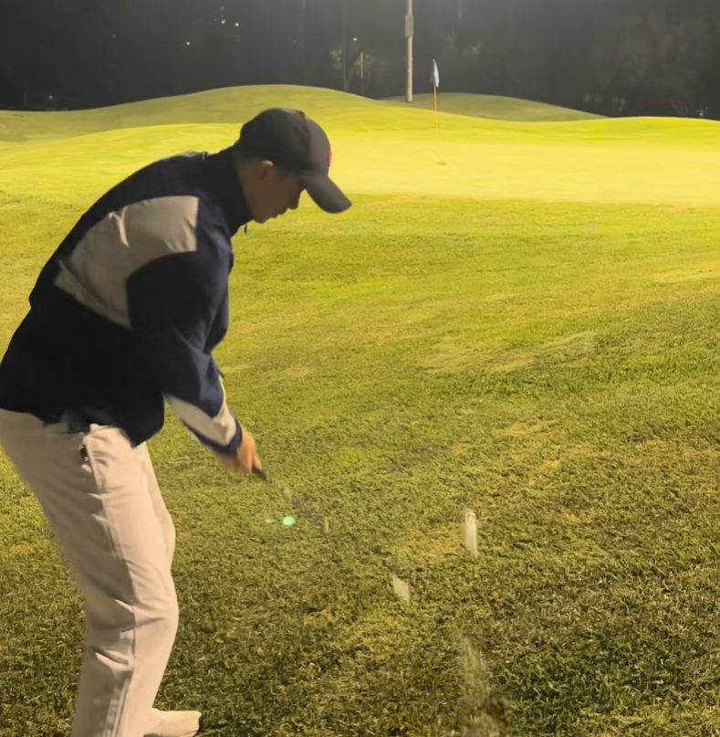 为主, 甚至在自己 为主, 甚至在自己